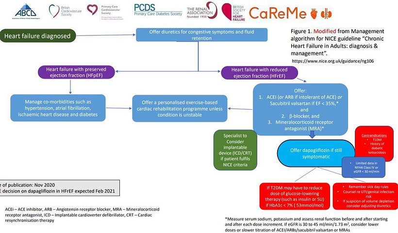 HF Algorithm CaReMe