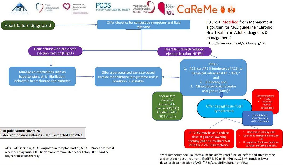 HF Algorithm CaReMe