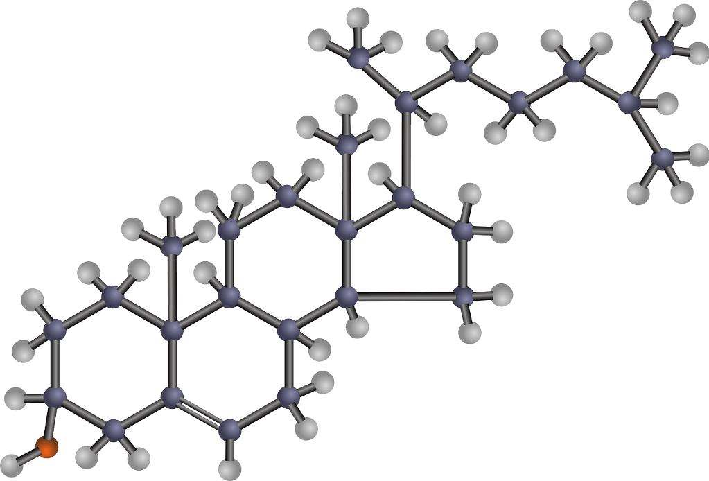 cholesterol structure