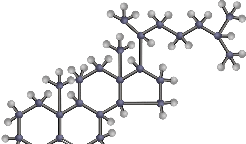 cholesterol structure