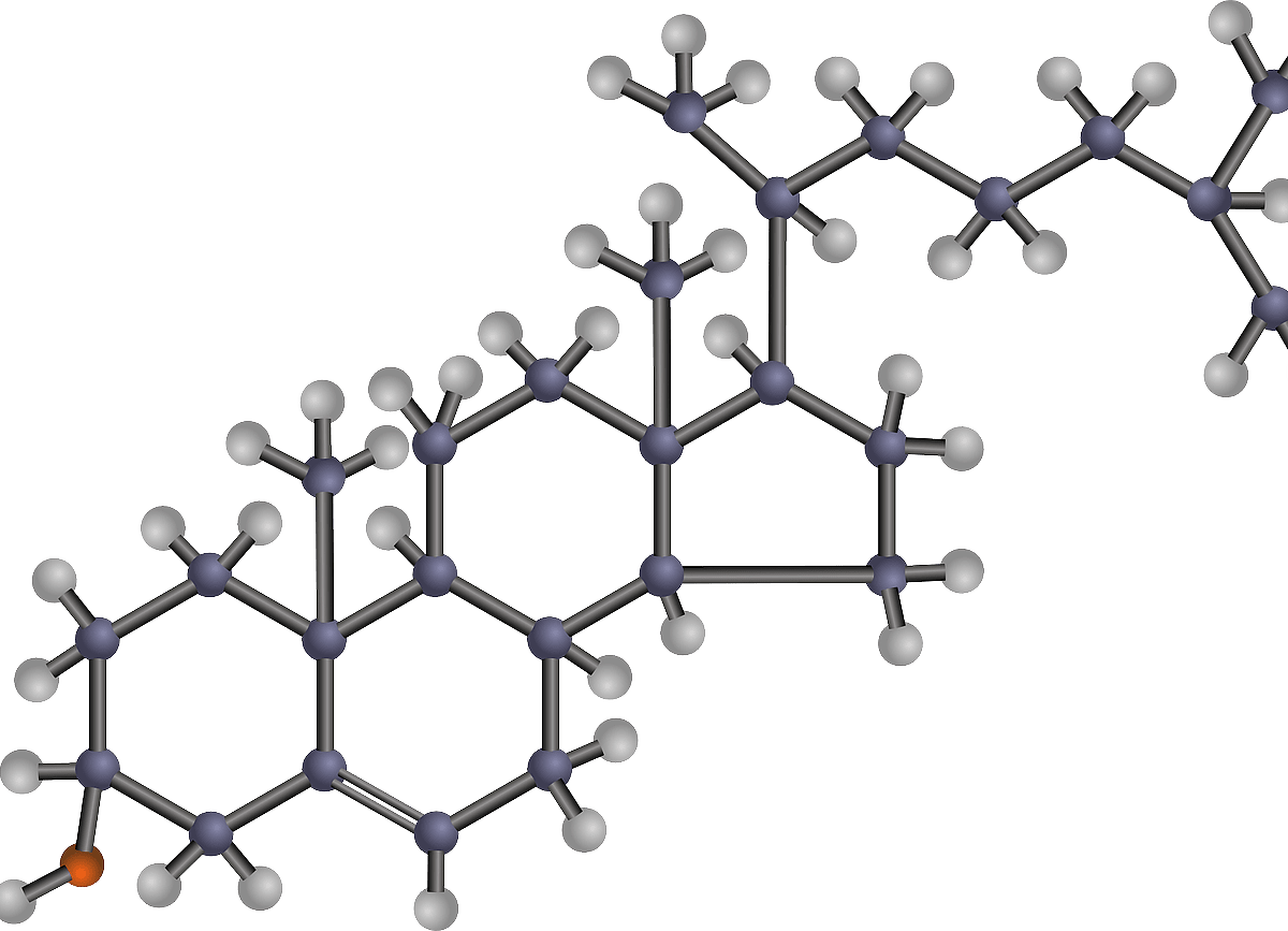 cholesterol structure