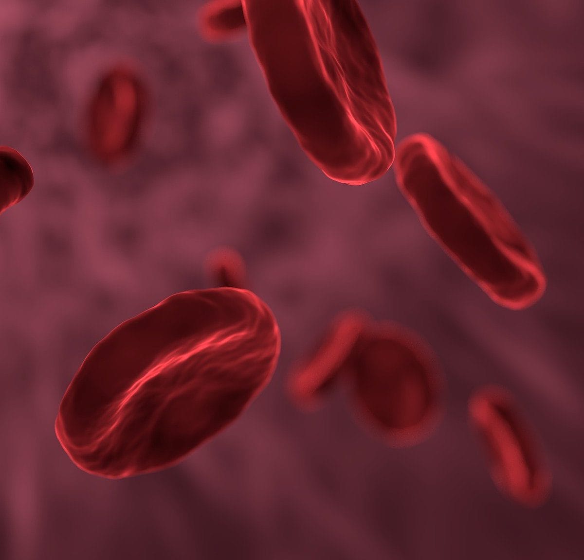 Red blood cells